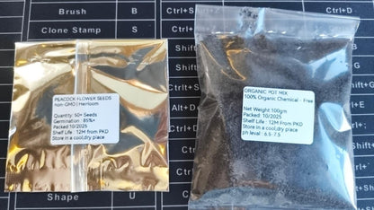 Vibrant Peacock Flower Seeds