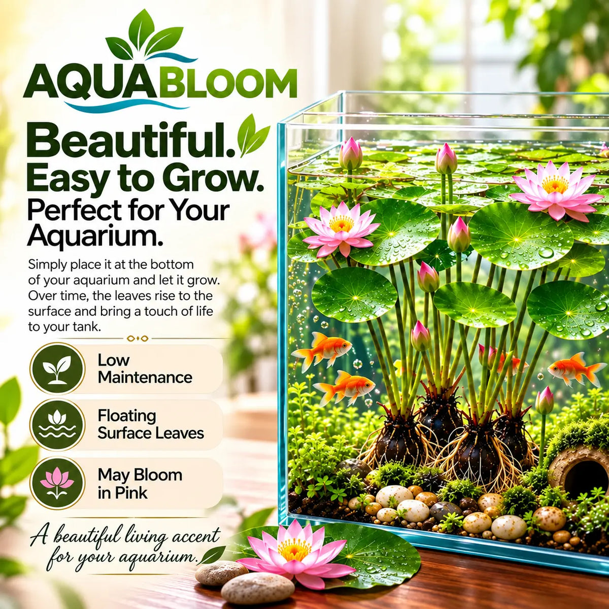 🐟 RED AQUARIUM LOTUS ROOTS BULBS🌿(Buy 4 Get 4 Free Bulbs)