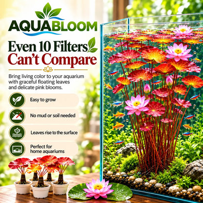 🐟 RED AQUARIUM LOTUS ROOTS BULBS🌿(Buy 4 Get 4 Free Bulbs)