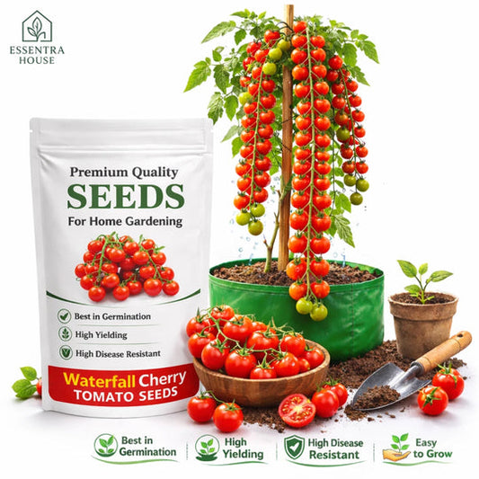 Waterfall Cherry Tomato Seeds