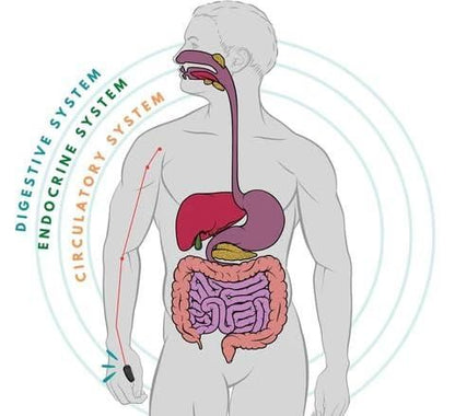 Acuplus+ Sugar Control Acupressure Point Clip